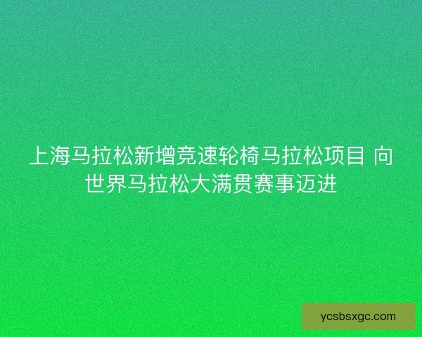 上海马拉松新增竞速轮椅马拉松项目 向世界马拉松大满贯赛事迈进