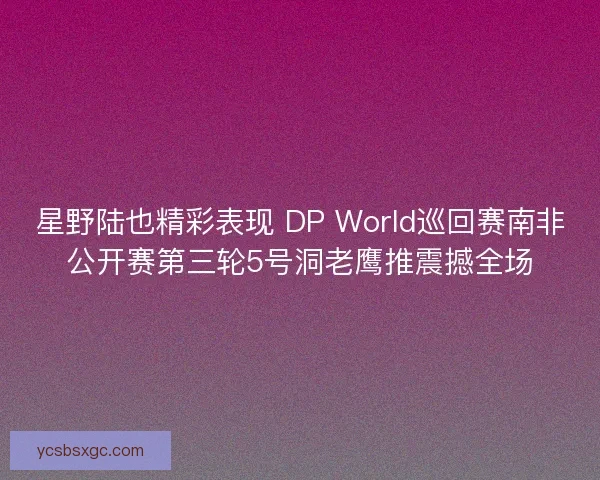 星野陆也精彩表现 DP World巡回赛南非公开赛第三轮5号洞老鹰推震撼全场
